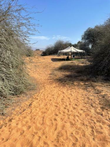 Rak Glamping
