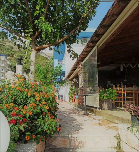 Hotel Elisabeta Borsh