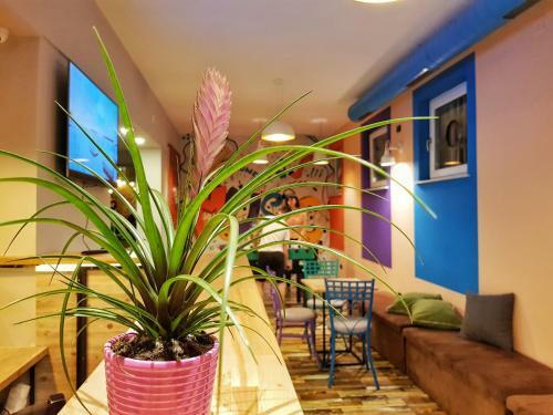Bed Station Hostel & Bar
