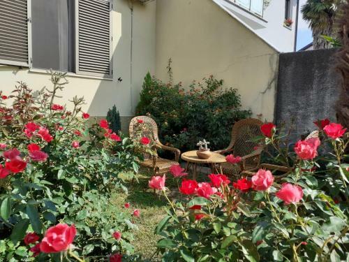 Hostal Guest House Zadeja