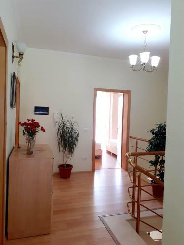 Hostal Guest House Zadeja