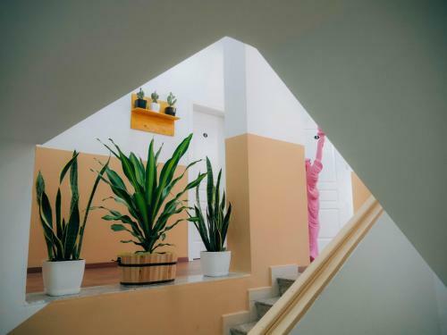 The Maze Hostel
