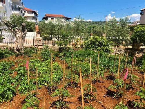 Hostal Villa Ahmeti