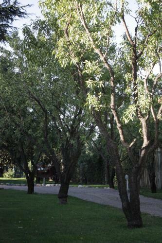Hostal Cari�o Rosao