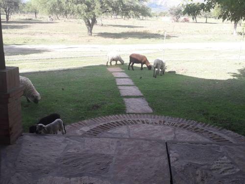 Posada de Campo Ayres Del Golf
