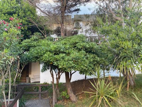 Apartamentos Del Mar II
