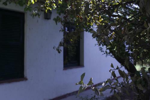 Caba�a En Olivar Centenario Agroecol�gico Tutuna