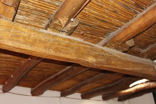 Caba�a En Olivar Centenario Agroecol�gico Tutuna