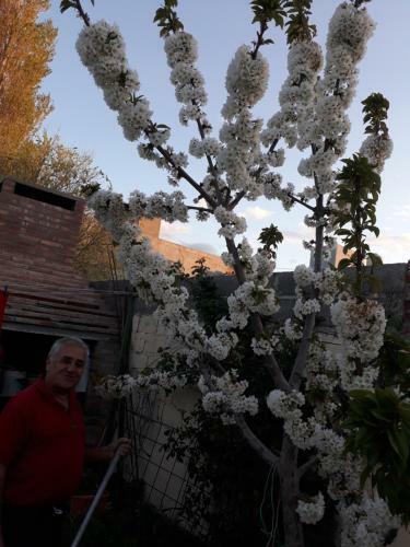 Apartamento Amien Patagonia