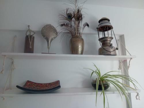 Apartamento Monoambiente Estudio C�ntrico. 28j Nuevo!