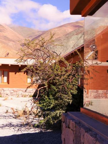 Apartamento Tierra Quebrada Caba�as