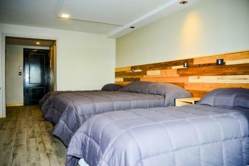 Hotel Eco Max