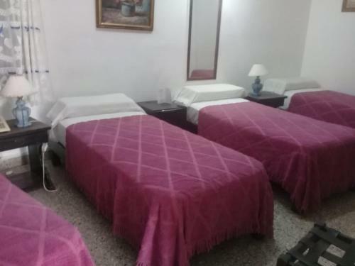 Petit Salta Hotel