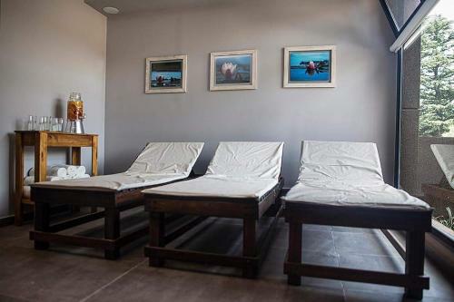 Hotel Ventania Golf Resort