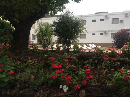 Hotel Catedral