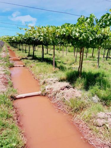 Tres Cruces Wine Lodge