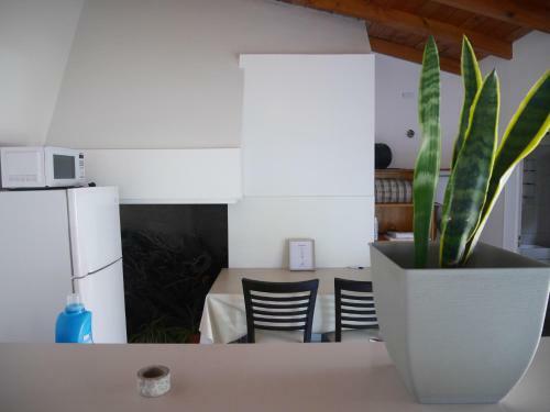 Apartamento Monoambiente Con Cochera