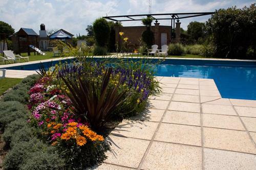 Apartamento Caba�as El Olivo