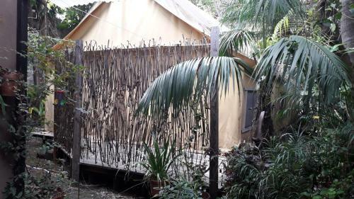Suites & Tent Experience