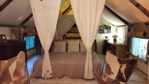 Suites & Tent Experience