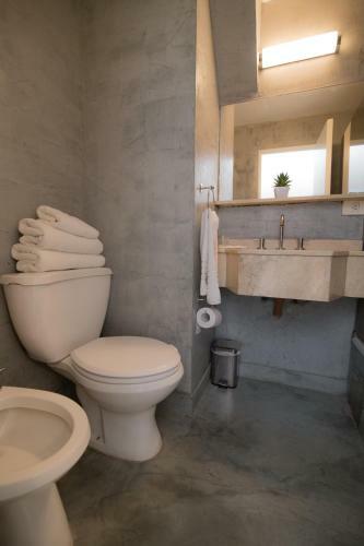 Boutique Apartments In Recoleta