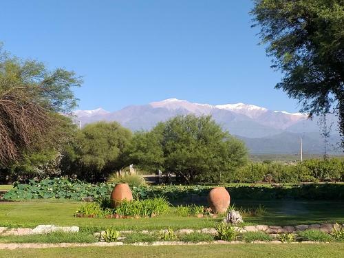 Lodge Estancia Del Olivo