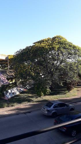 Apartamento Anan�