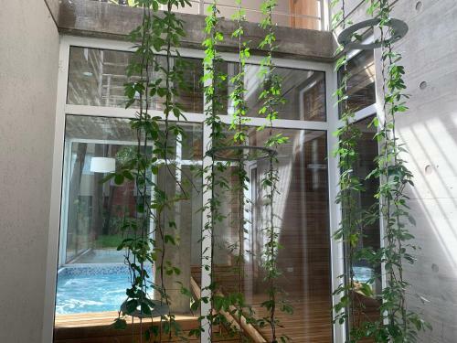 Casiopea Apart-spa-mar