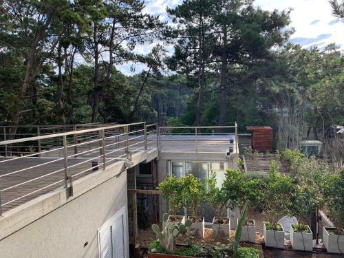Casiopea Apart-spa-mar