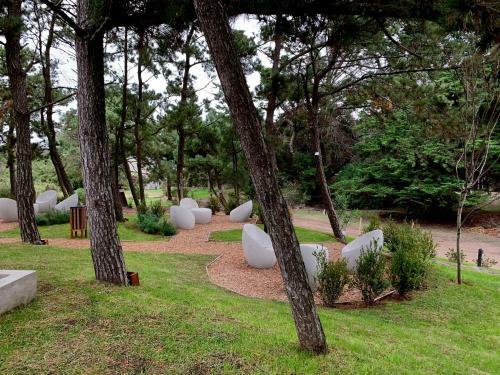 Casiopea Apart-spa-mar
