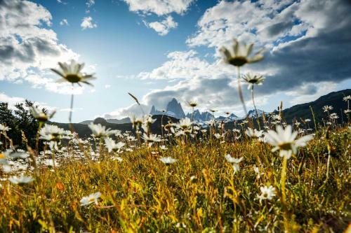 Chalten Camp - Glamping With A View