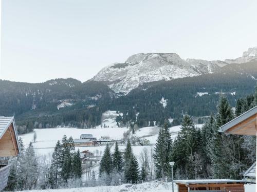 Dachstein Chalet