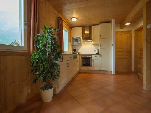 Dachstein Chalet Xl