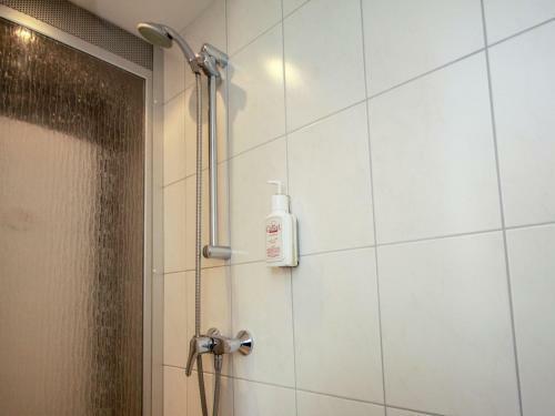 Apartment Appartement Rose