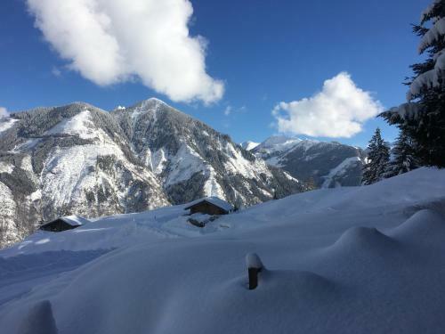 Hotel Gasthof Zacherlbr�u