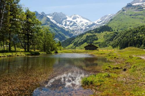 Hotel Gasthof Zacherlbr�u