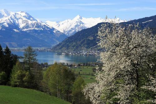 Hotel Gasthof Zacherlbr�u