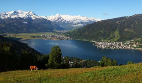 Hotel Gasthof Zacherlbr�u