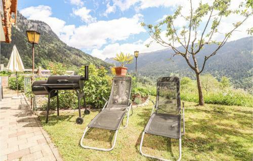 Awesome Apartment In Dalaas With Wifi And 1 Bedrooms