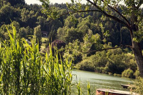 Relax Camping Seewirt