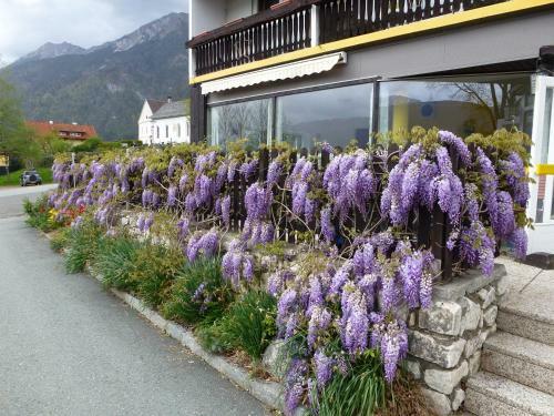 Posada Gailtal Inn