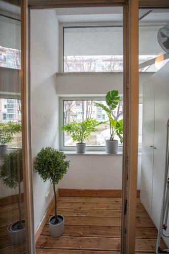 Apartamento Innsbruck Deluxe City Center Studio