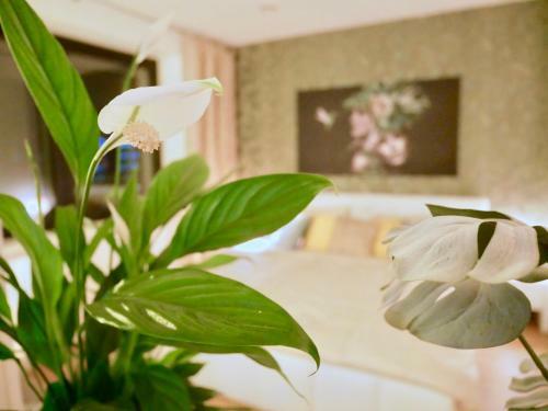 Apartamento Skylounge City-apartments