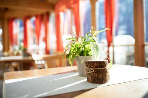 Apartamento Pitztal Living