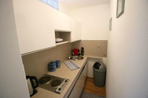 Apartment Zachary- Austrian Alpine Getaways