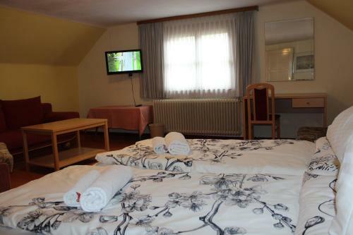Hotel Alt Kirchheim