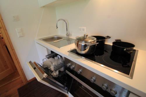 Family Apartment Hirsch