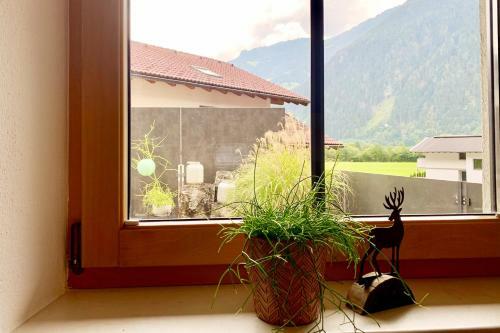 Apart Haus Bella