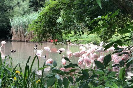Stadtn�he Und Doch Mitten In Der Natur