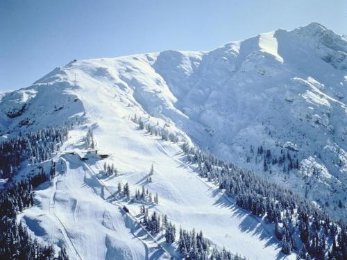 Relaxing Apartment In Seefeld In Tirol With Gardenter